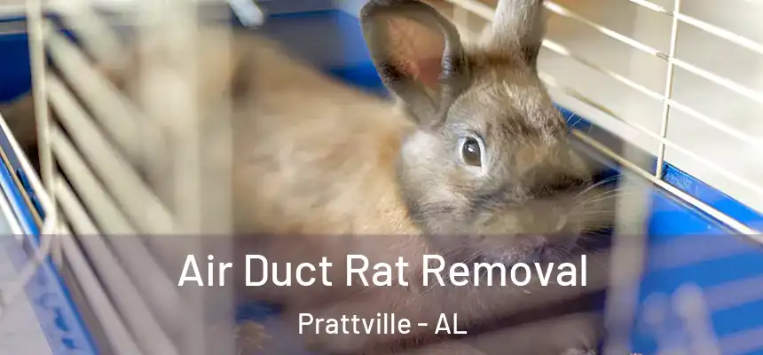Air Duct Rat Removal Prattville - AL