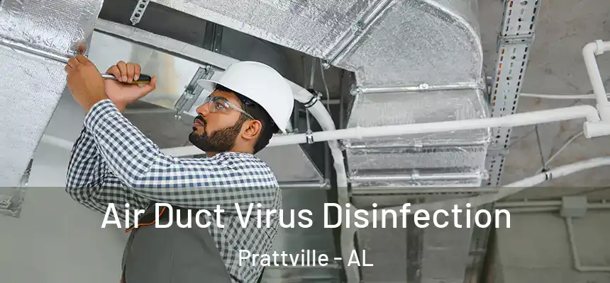 Air Duct Virus Disinfection Prattville - AL