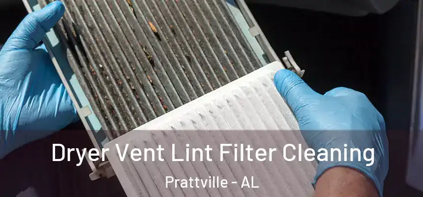  Dryer Vent Lint Filter Cleaning Prattville - AL
