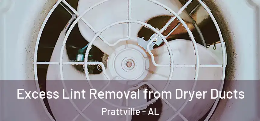  Excess Lint Removal from Dryer Ducts Prattville - AL