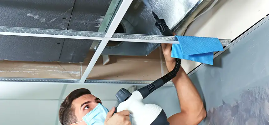 Our Air Duct Rodent Removal Services in Prattville, AL