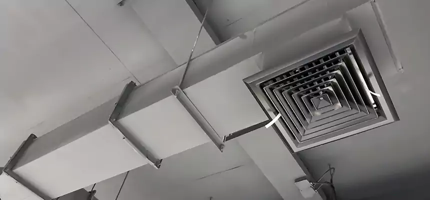 Our Rodent Droppings In Vents Services in Prattville, AL