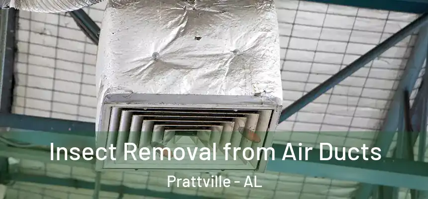 Insect Removal from Air Ducts Prattville - AL