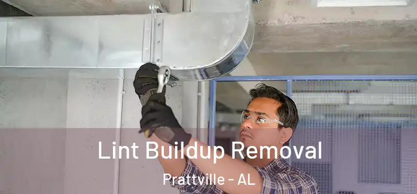  Lint Buildup Removal Prattville - AL