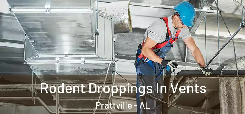  Rodent Droppings In Vents Prattville - AL