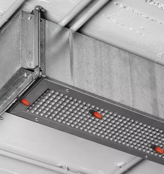 About Air Duct Cockroach Removal in Prattville, AL