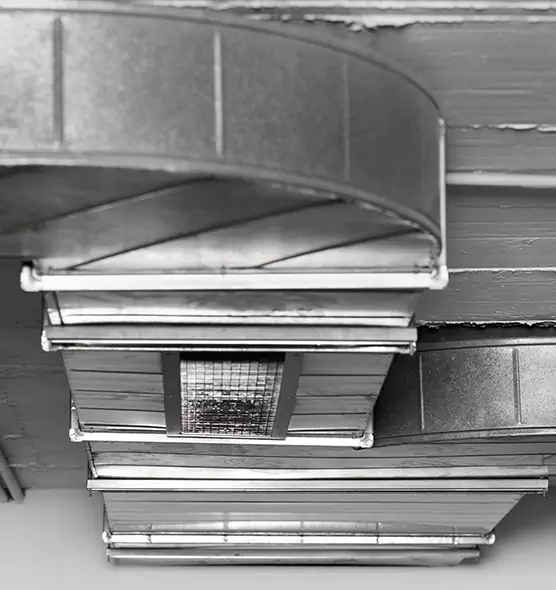 Professional Air Duct Pest Removal in Prattville, AL