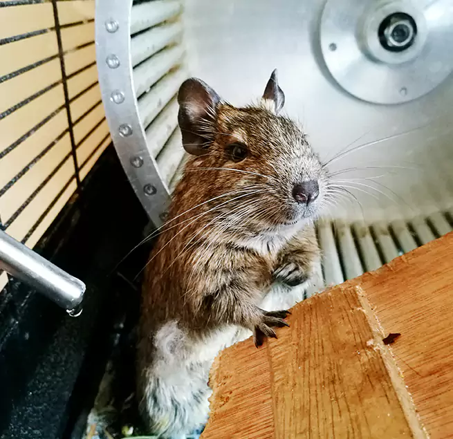 Why Homeowners & Businesses Trust Us Prattville, AL