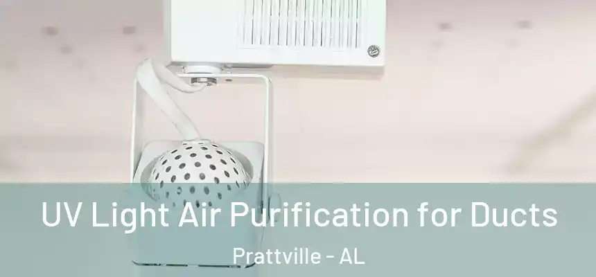 UV Light Air Purification for Ducts Prattville - AL